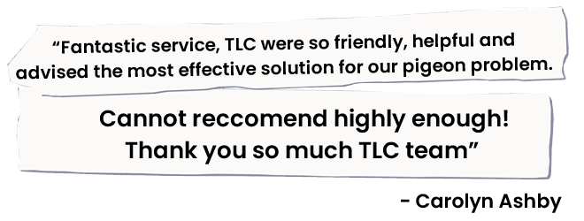 Reviews_02_02