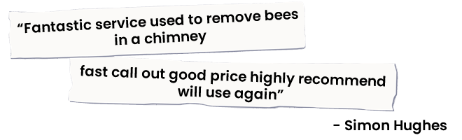 Reviews_03_02