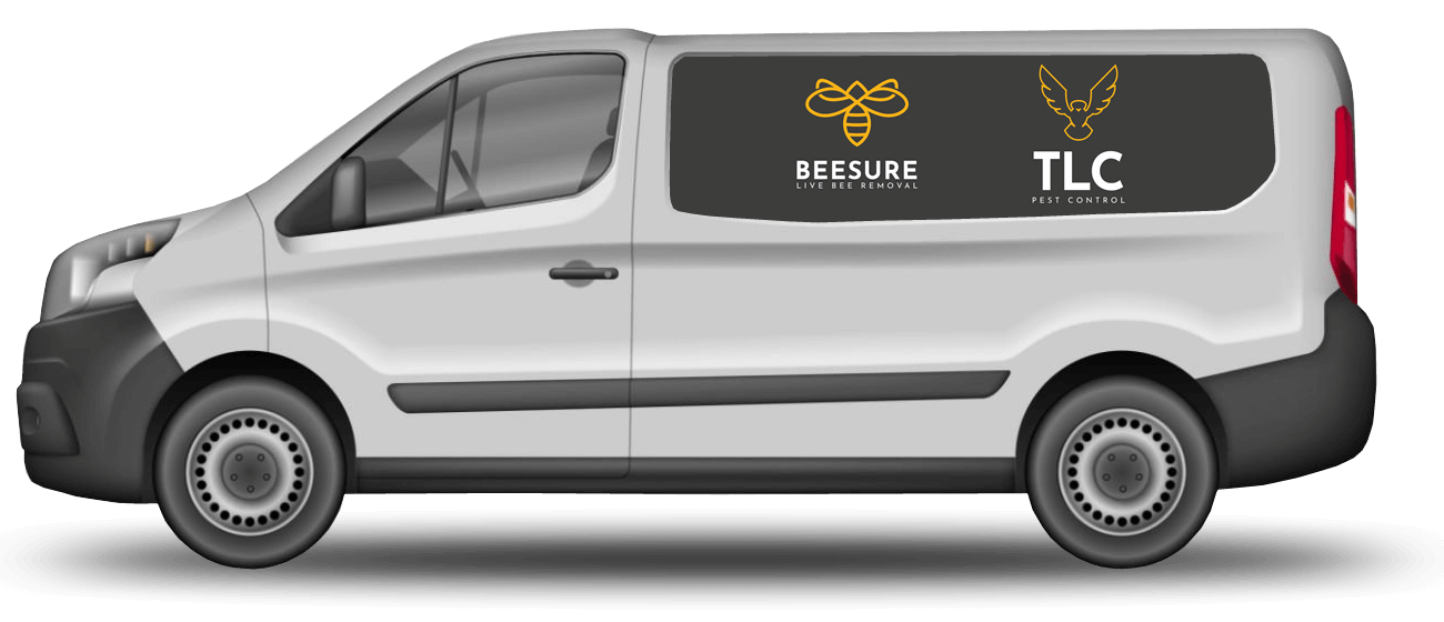 VAn02